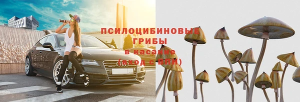 дурь Абдулино