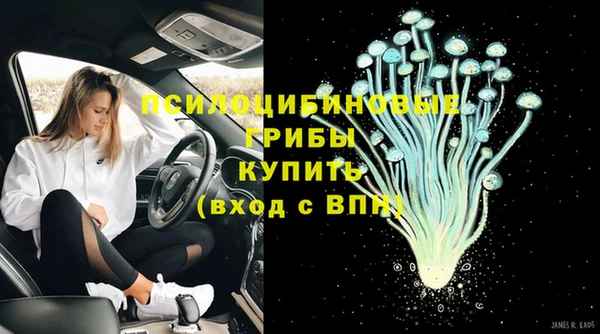 стаф Абинск